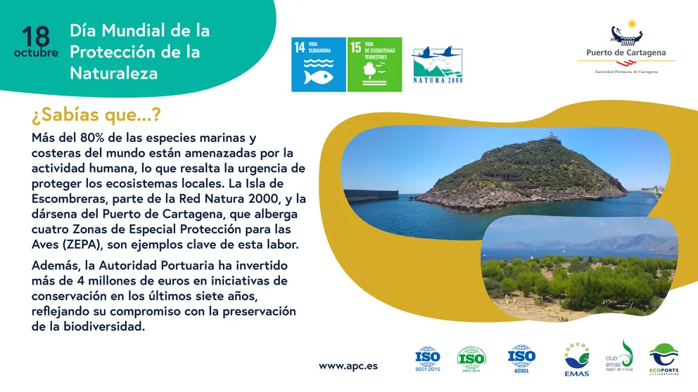 Cartel del D&iacute;a Mundial de la Protecci&oacute;n de la Naturaleza.