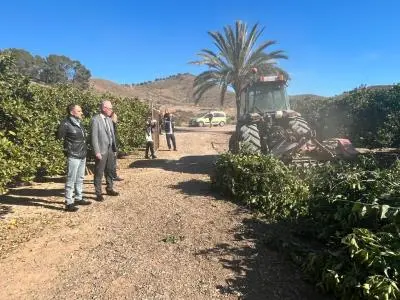 Imagen de trituraci&oacute;n de podas (Ayuntamiento de Murcia)