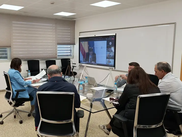 La  consejera Sara Rubira durante la reuni&oacute;n realizada por videoconferencia.