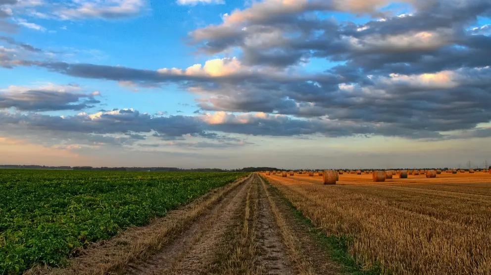 Fotograf&iacute;a de un campo. (Imagen de Wolfgang Borchers en Pixabay)