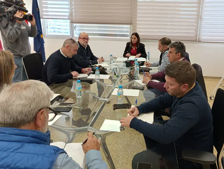 La consejera Sara Rubira en la reuni&oacute;n con COAG, ASAJA, UPA y FECOAM para informar del paquete de ayudas. (CARM)