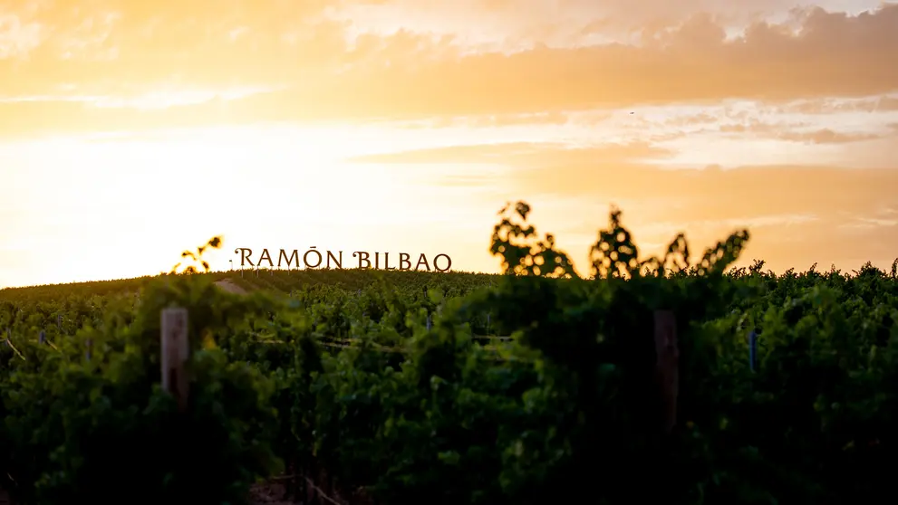 Imagen de Ram&oacute;n Bilbao. (Zamora Company)
