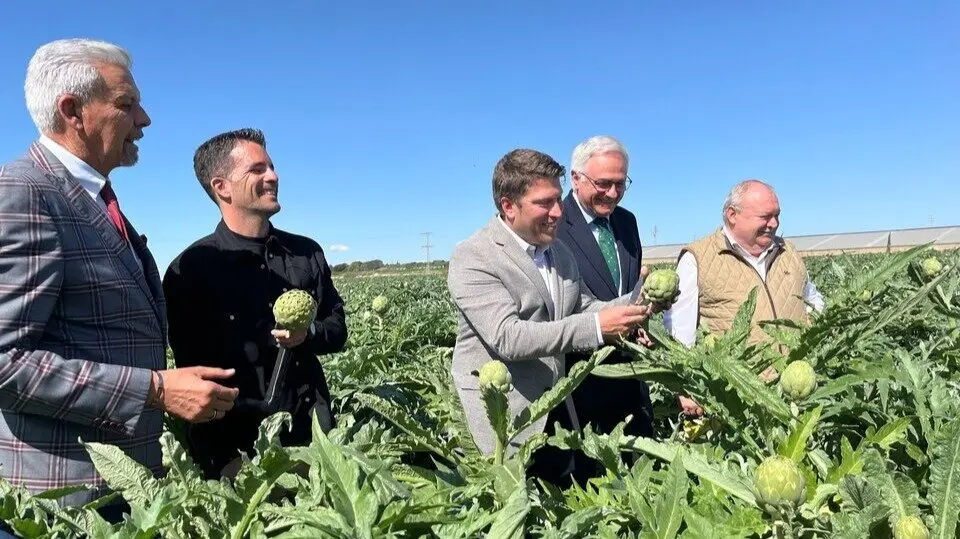 El director general de Producci&oacute;n Agr&iacute;cola, Juan Pedro Vera, en el acto del corte del Segundo Colmo, organizado por la Asociaci&oacute;n Alcachofa de Espa&ntilde;a en Torre Pacheco. (CARM)