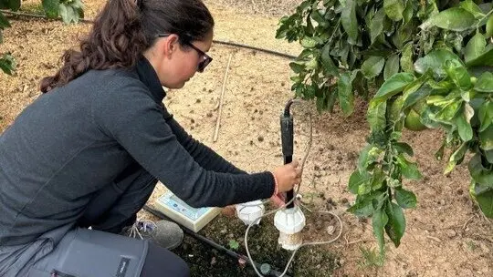 Imagen de la medida de la humedad del suelo durante el ensayo con agentes humectantes. (CARM)
