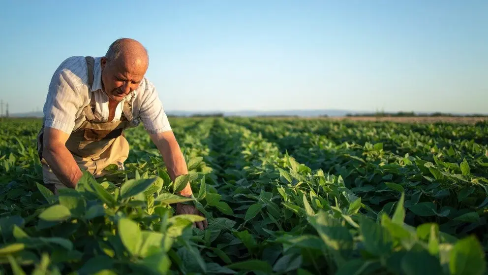 Imagen de un agricultor. (Freepik)