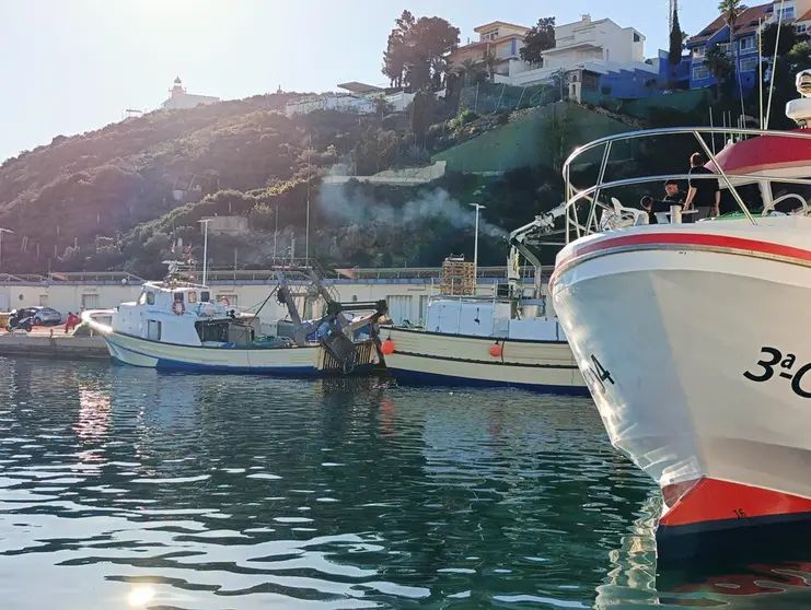 Imagen de archivo de barcos de pesca en Mazarr&oacute;n. (CARM)