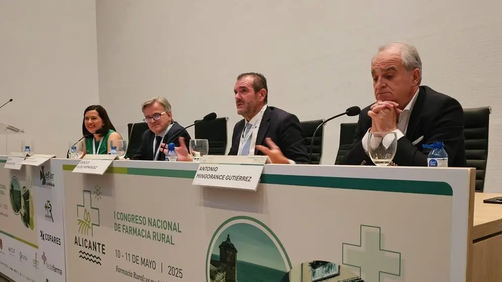El presidente de Hefame, Enrique Ayuso, interviene en la mesa redonda &lsquo;Conexiones que importan: distribuci&oacute;n y su impacto en la Farmacia Rural&rsquo; desarrollada en el marco del I Congreso Nacional de Farmacia Rural. (Hefame)