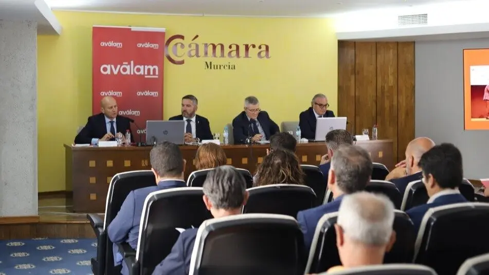 Un momento de la Junta General de Av&aacute;lam en la C&aacute;mara de Comercio de Murcia. (Av&aacute;lam)