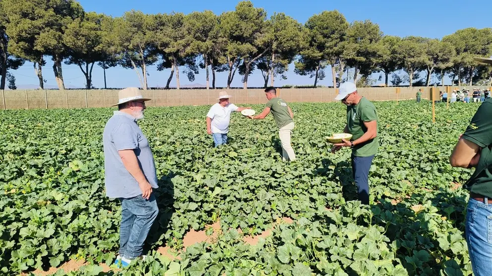 Imagen de los 'Melon & Watermelon Innovation Days'. (Proexport)