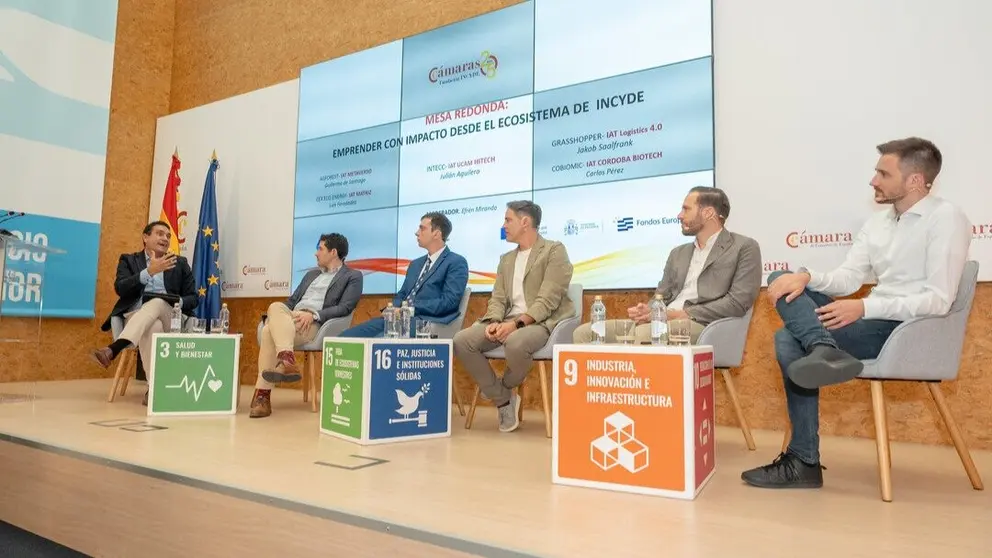 Un momento del encuentro sobre la Red de Incubadoras de Alta Tecnolog&iacute;a. (Fundaci&oacute;n Incyde)