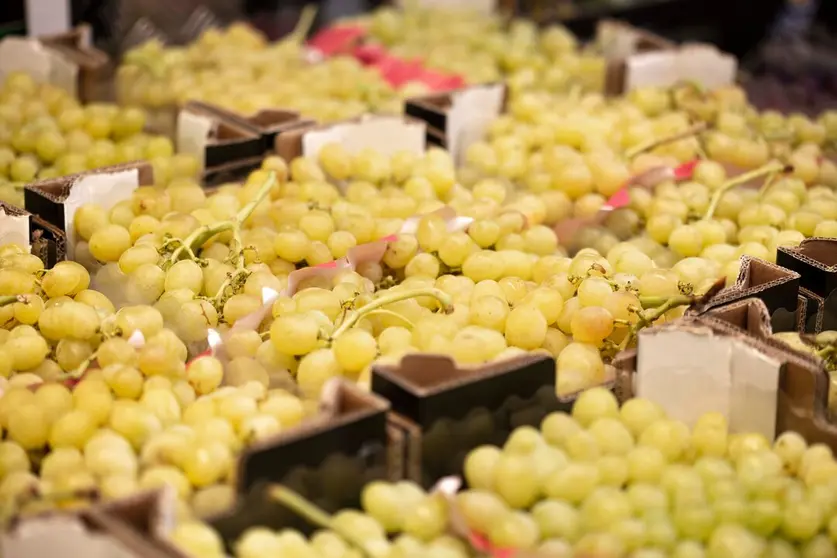 uvas 
murcia