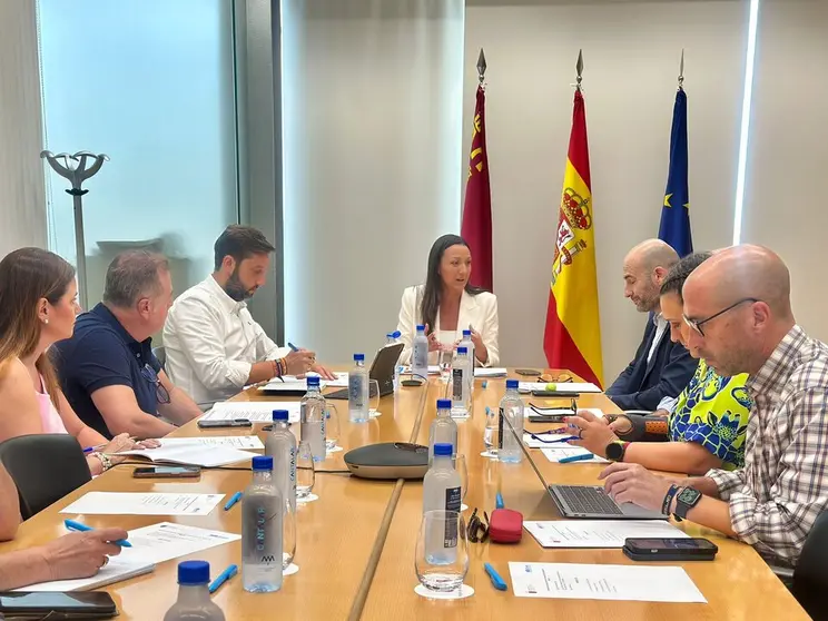 20250729ConsejoAsesor