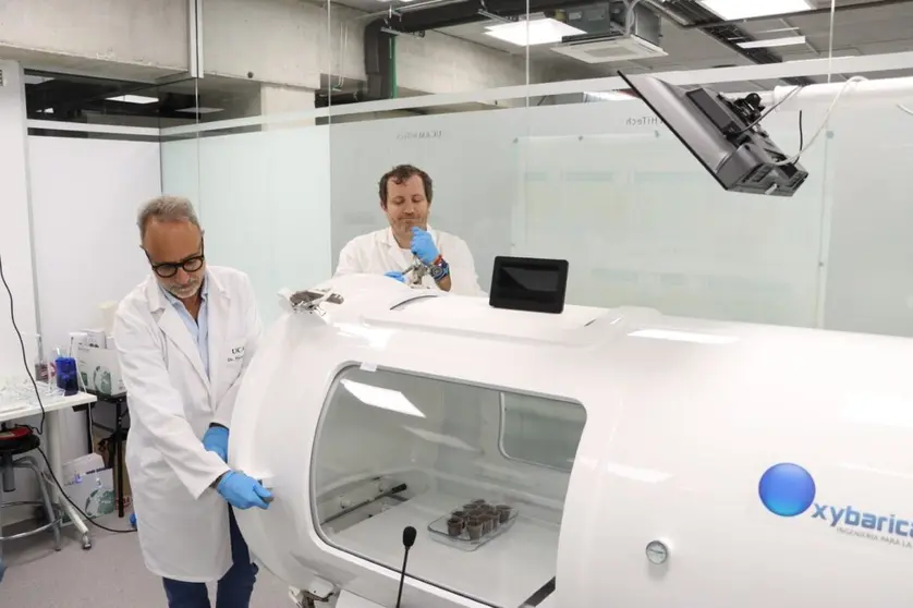 Los investigadores Antonio Jos&eacute; P&eacute;rez-L&oacute;pez y Jos&eacute; Ram&oacute;n Acosta-Motos, del grupo de investigaci&oacute;n BioVegA&sup2; de la UCAM, realizando pruebas en la c&aacute;mara hiperb&aacute;rica. (UCAM)
