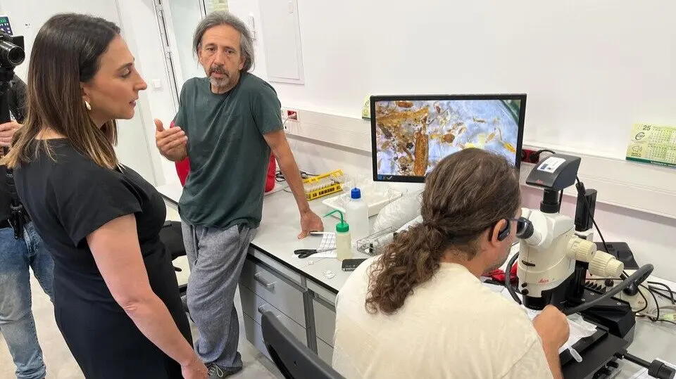 Imagen de la consejera Sara Rubira en el laboratorio del Imida en el que se investigan t&eacute;cnicas para combatir el trips ex&oacute;tico. (CARM)