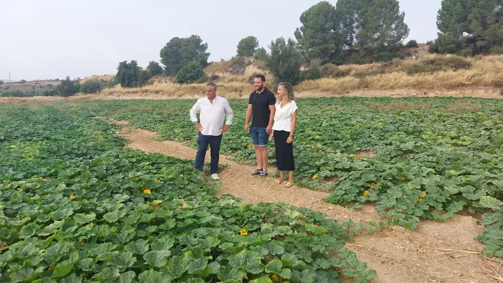 La directora general de la PAC, Ana Garc&iacute;a Anciones, junto al alcalde de Pliego durante la visita a una finca de un joven agricultor. (CARM)