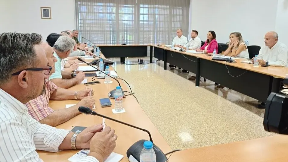 Imagen de la consejera Sara Rubira durante la reuni&oacute;n que mantuvo con los miembros de la ejecutiva de COAG. (CARM)