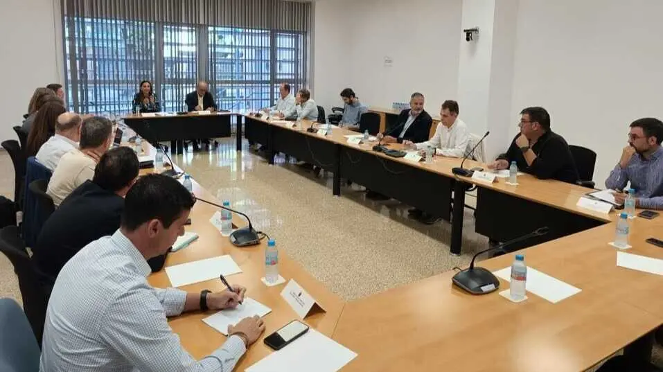 La consejera Sara Rubira en la reuni&oacute;n de constituci&oacute;n del grupo t&eacute;cnico para avanzar en la simplificaci&oacute;n de tr&aacute;mites administrativos de agricultores y ganaderos. (CARM)