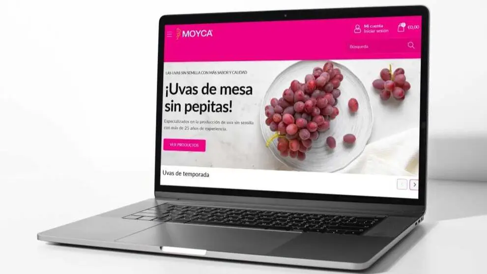 Ecommerce de Moyca. (Portavoz)