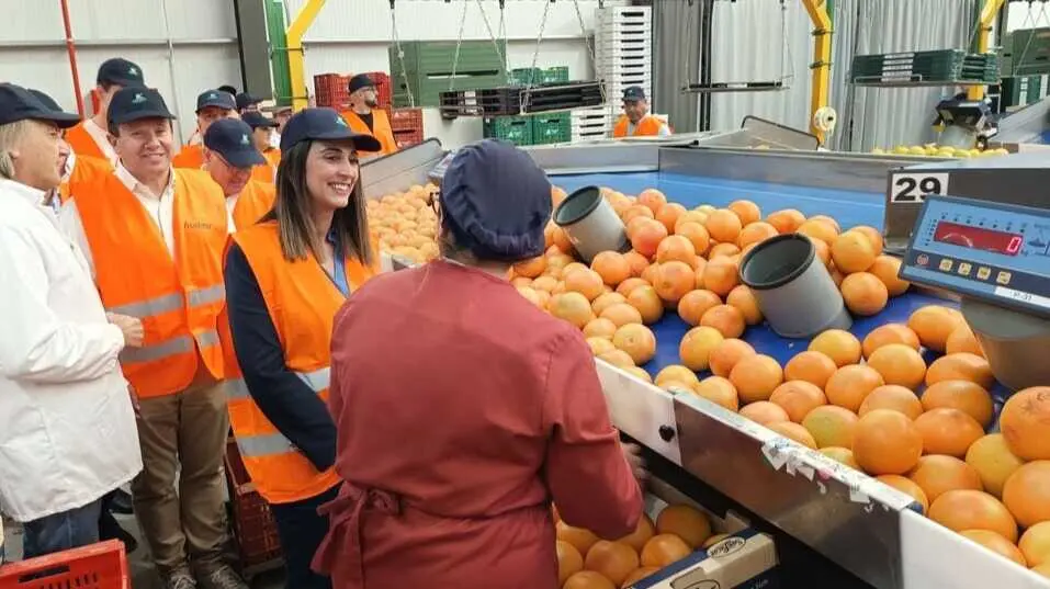La consejera Sara Rubira durante su visita a las instalaciones de Frucimo.&nbsp;(CARM)