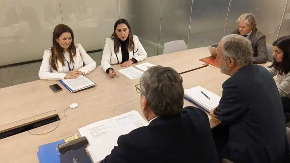 La consejera Sara Rubira durante la reuni&oacute;n mantenida en Bruselas&nbsp;junto a europarlamentarios que forman parte de la Comisi&oacute;n de Pesca del Parlamento Europeo. (CARM)