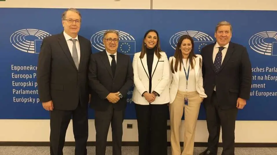 La consejera Sara Rubira junto a los europarlamentarios, tras la reuni&oacute;n mantenida hoy en Bruselas.&nbsp;(CARM)