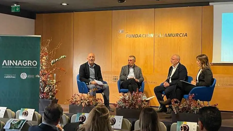 Imagen de la presentaci&oacute;n de la iniciativa. (Fundaci&oacute;n Ingenio)