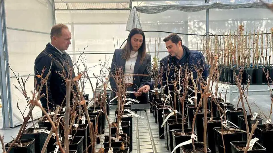 La consejera Sara Rubira durante la visita al laboratorio de bioseguridad instalado en el Imida. (CARM)