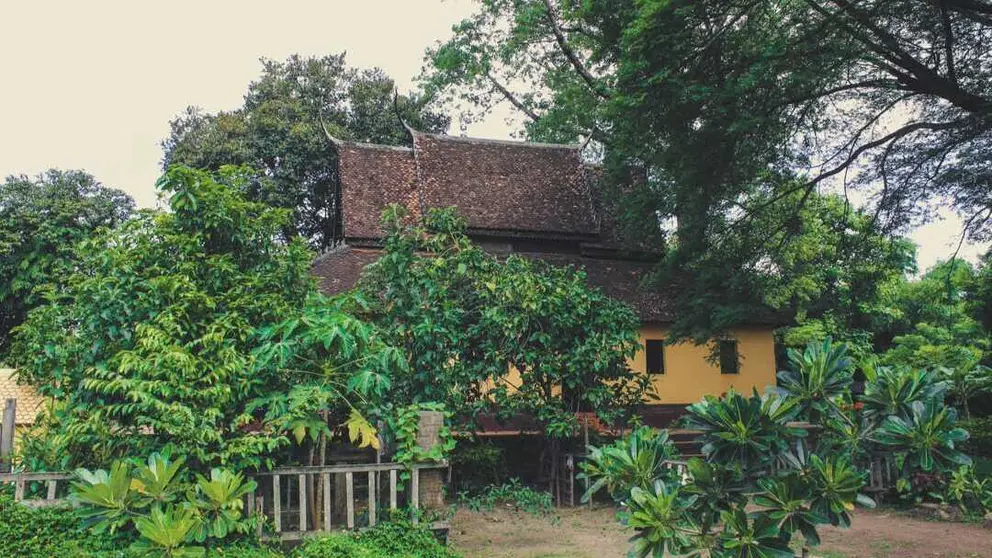 Una vivienda en la huerta. (Splash)