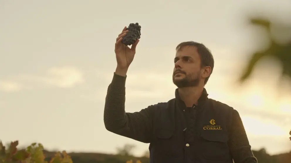 Fotograma del v&iacute;deo. (Grupo Fuertes)