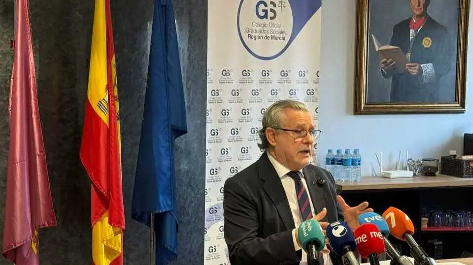 El decano del Colegio de Graduados Sociales, Alfonso Hern&aacute;ndez Quereda, durante la rueda de prensa. (Colegio de Graduados Sociales)