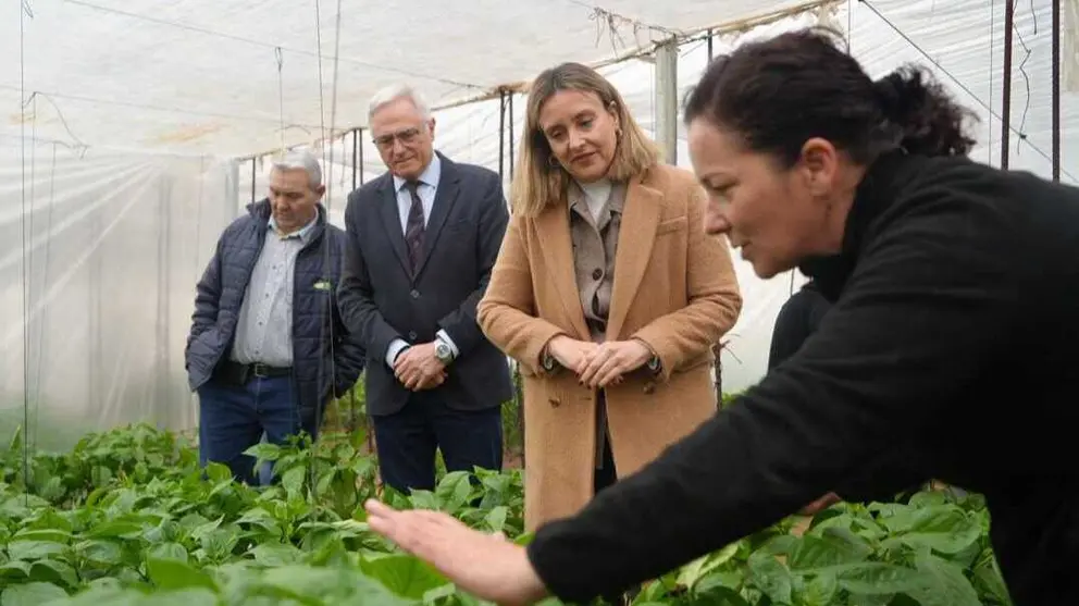 La consejera de Igualdad, Conchita Ruiz, junto con el alcalde de Torre Pacheco, Pedro &Aacute;ngel Roca, visitando la explotaci&oacute;n agraria de una mujer agricultora. (CARM)