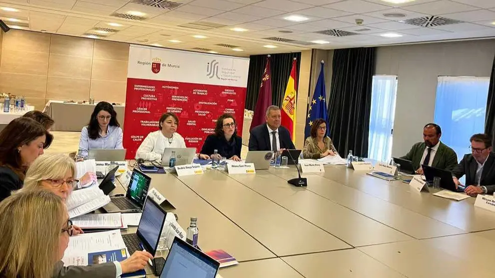 Reuni&oacute;n de la Red Interterritorial de Seguridad y Salud en el Trabajo (RISST). (CARM)
