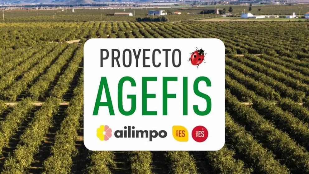 Imagen ilustrativa del proyecto. (Ailimpo)