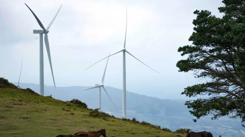 Imagen de un parque e&oacute;lico. (Iberdrola)