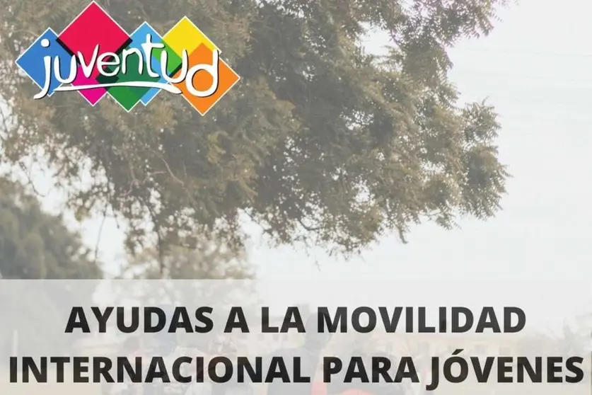 Cartel de las ayudas a la movilidad internacional del consistorio cartagenero. (Ayuntamiento de Cartagena)