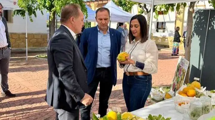 Imagen de la consejera Sara Rubira durante el desarrollo del acto de presentaci&oacute;n de los proyectos FEDER del Imida. (CARM)