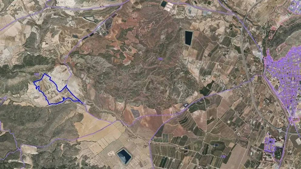 Terreno que sale a subasta en Jumilla. (Eactivos)