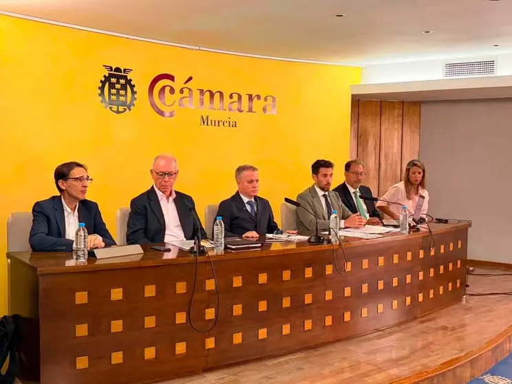 20260711 Lajara jornada APIRM