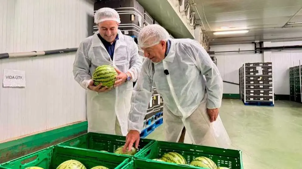 El consejero Joaqu&iacute;n Buend&iacute;a en la visita a la empresa Pozo Sur, donde se trabaja en la campa&ntilde;a de sand&iacute;a. (CARM)