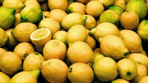 /img/periodico/img_9704.jpg