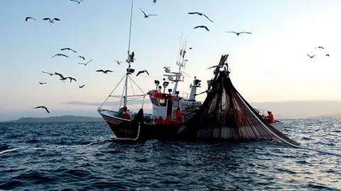 Pesca.
