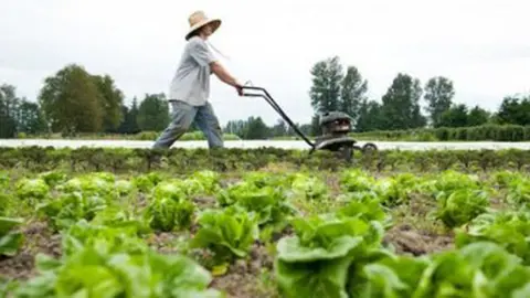 Trabajador en el campo.