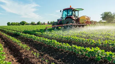 Agricultura. (Archivo)