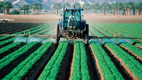 Agricultura. (Archivo)