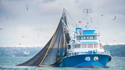 Imagen de un barco pesquero. (Archivo)