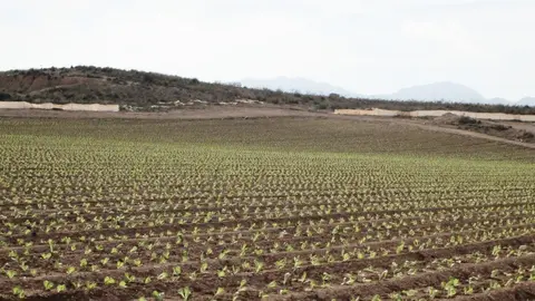 image_amaco(1)