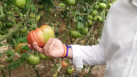 4_190520ecotomate