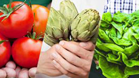 2138_proexport-fruit-logistica
