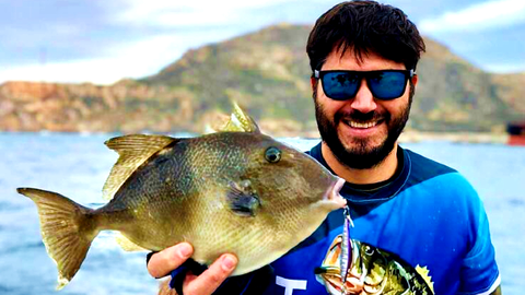 wefish_