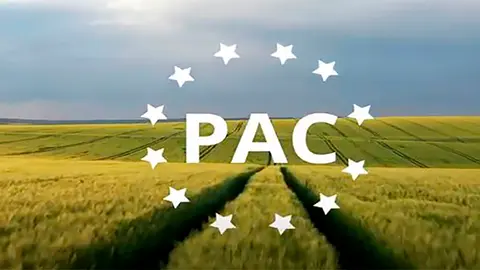 2022083117274552565